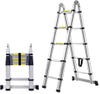 Double telescopic ladder with hinge