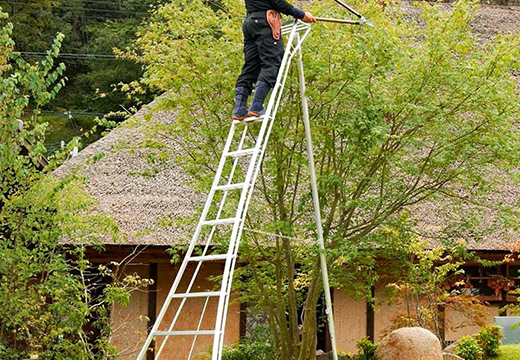 How to use a ladder safely in the garden?